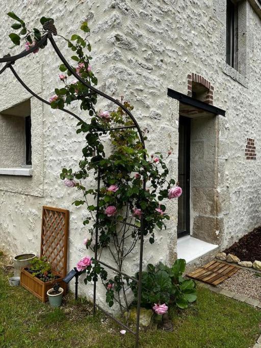 Gite Du Chat Roux La Chapelle-Saint-Martin-en-Plaine Exterior foto